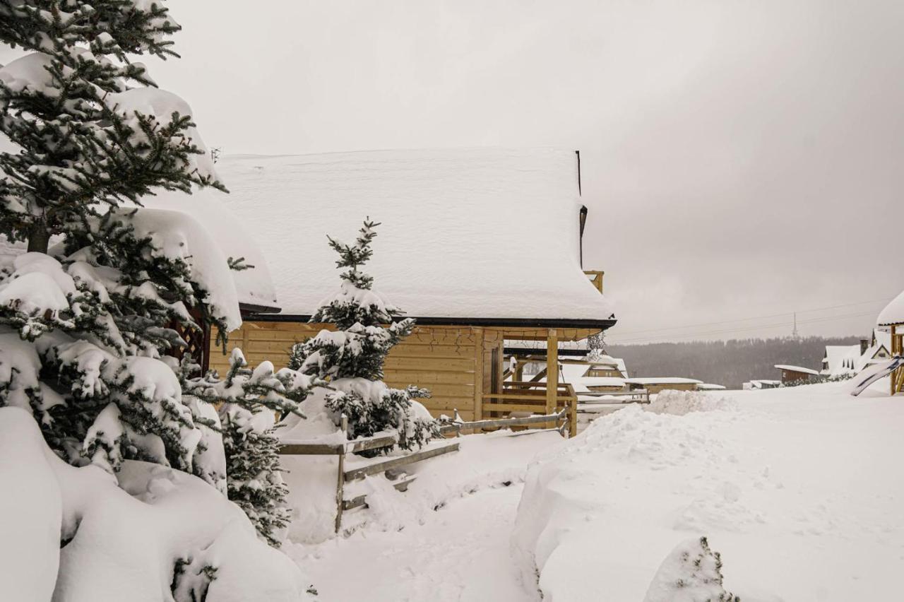 Domek Na Zrabku Pod Gubalowka Закопане Экстерьер фото